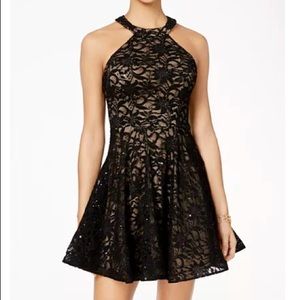Sequin Lace Fit and Flare Dress